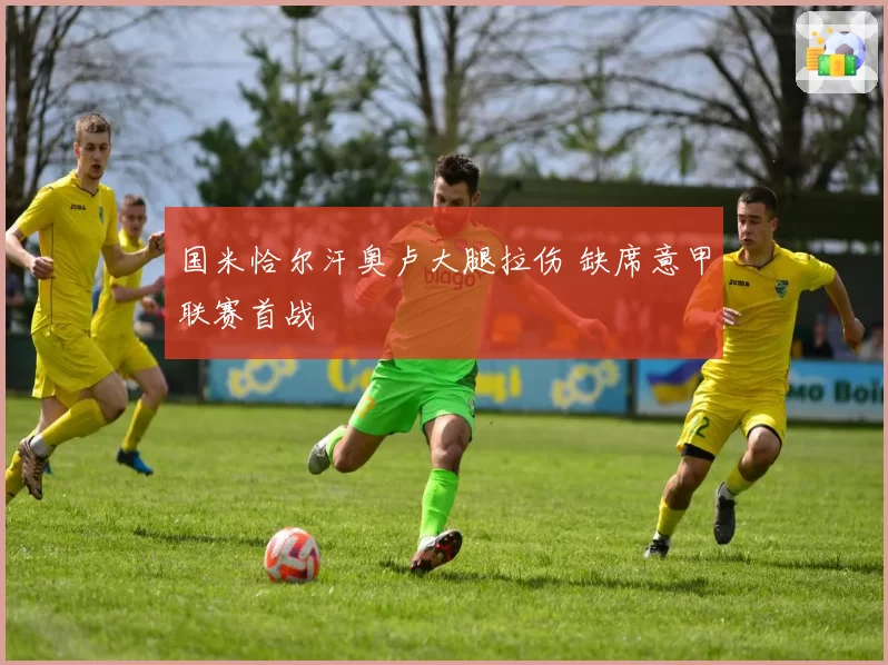国米恰尔汗奥卢大腿拉伤 缺席意甲联赛首战